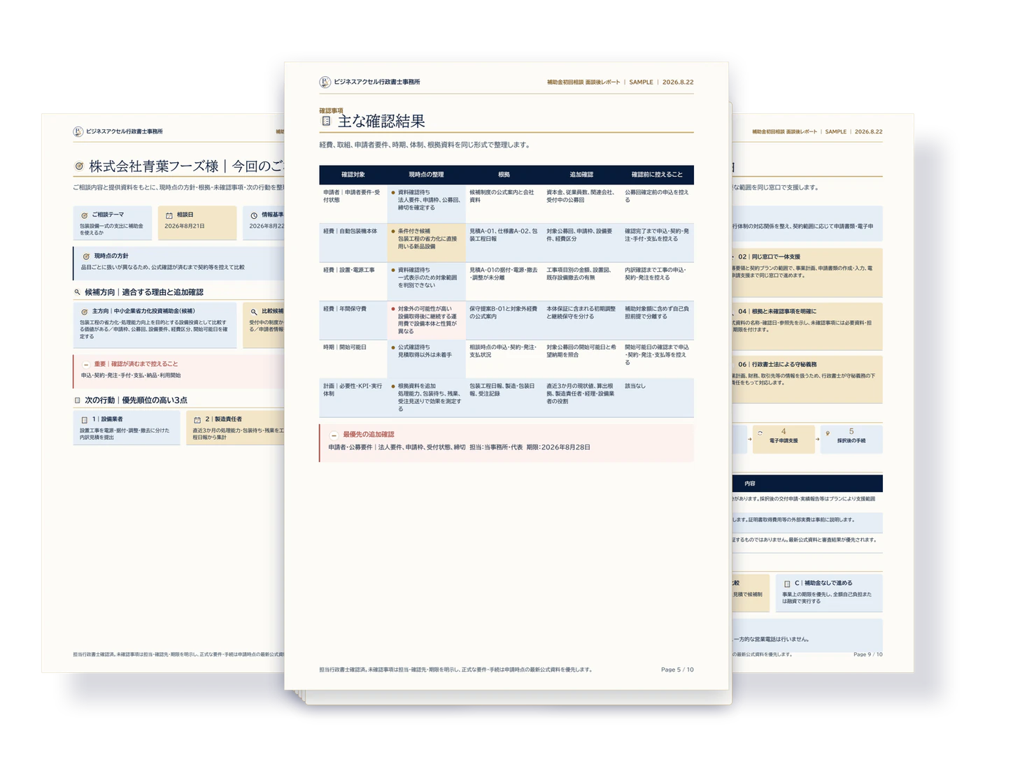 全体像・主な確認結果・支援内容をまとめた補助金活用レポートの掲載用サンプル（全10ページ）